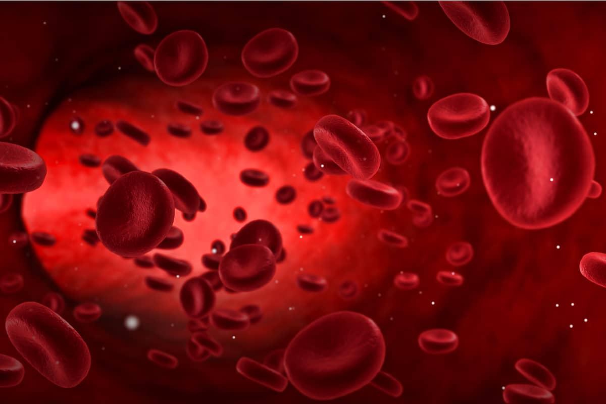 Kako najbrže popraviti krvnu sliku?