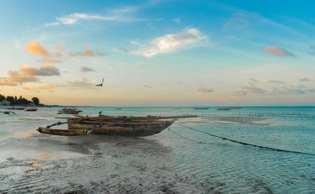 https://pixabay.com/photos/africa-zanzibar-beach-tanzania-5135407/